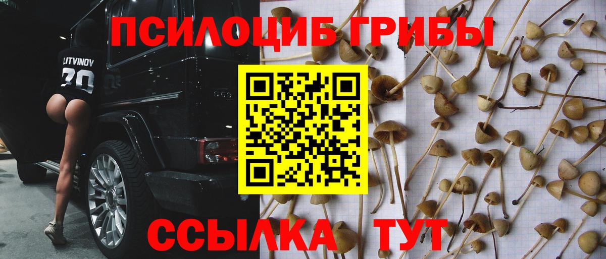 Галлюциногенные грибы мицелий  Вход с VPN  что такое   Майкоп 